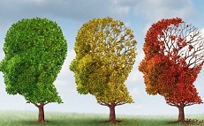 10 Dầu hiệu cảnh cáo bệnh Alzheimer